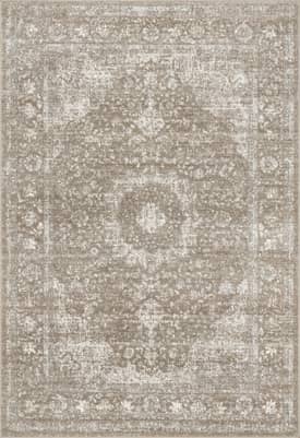 Brown 2' x 6' Distressed Persian Rug swatch