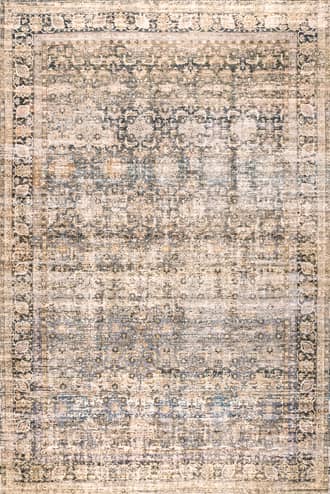 Ivanna Bordered Faded Rug primary image