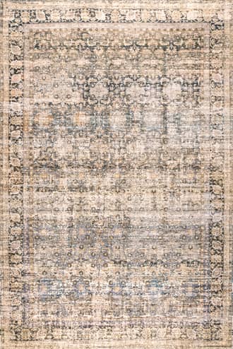 5' x 8' Ivanna Bordered Faded Rug primary image