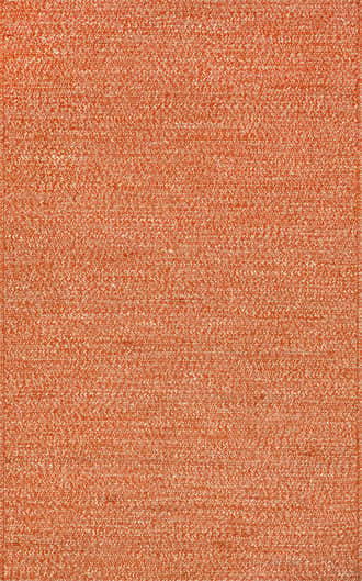 Rust Beretta Braided Cotton Rug swatch