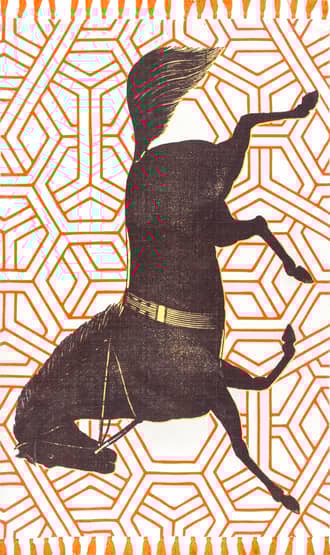 Majestic Mare Tassel Rug primary image