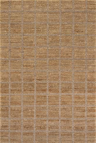 4' x 6' Penni Checked Jute and Wool Rug primary image