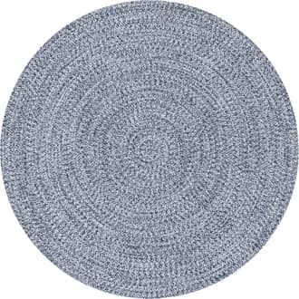 Handmade Braided Indoor/Outdoor Rug primary image