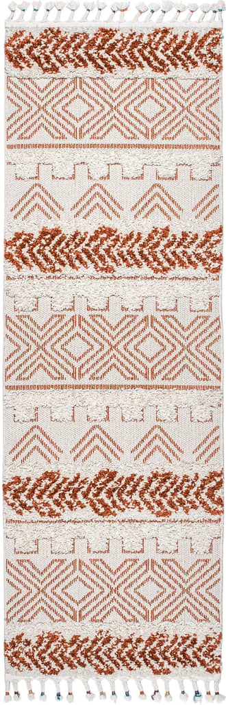 2' 6" x 8' Banded Shag Rug primary image