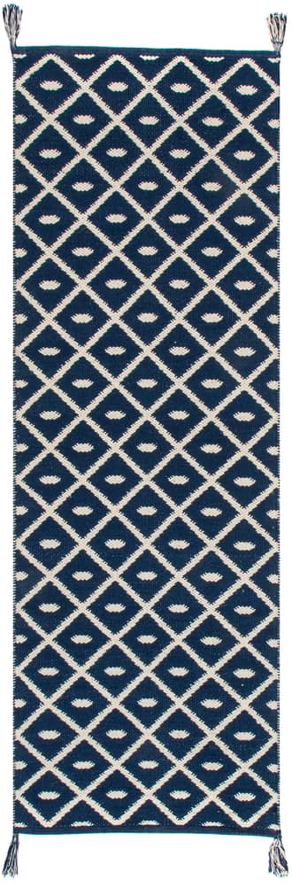 2' x 6' Flatwoven Pip Trellis with Tassels Rug primary image